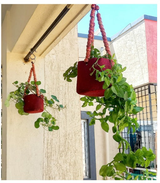 Fabric Grow bag - hanging 6X4 inches