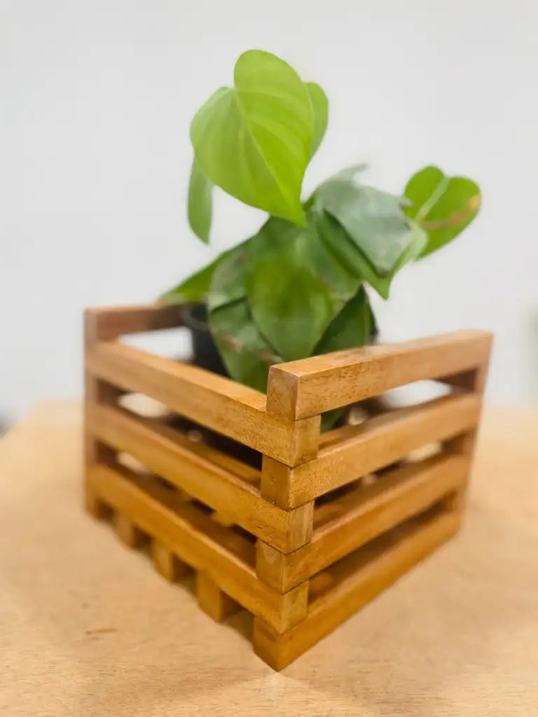 Mahogany wooden Planter