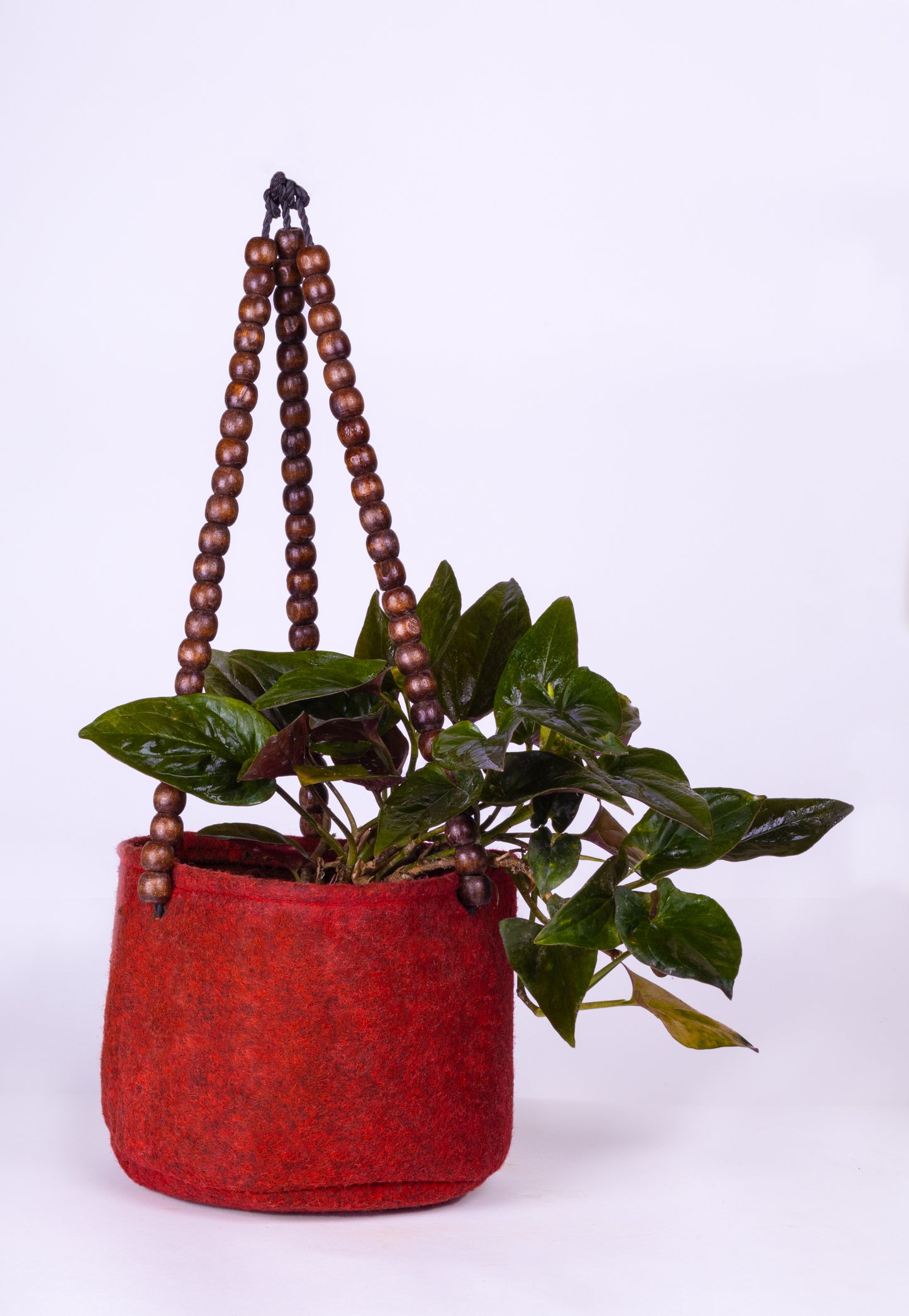 Fabric Grow bag - hanging 6X4 inches